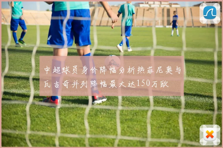 中超球员身价降幅分析热菲尼奥与瓦吉奇并列降幅最大达150万欧