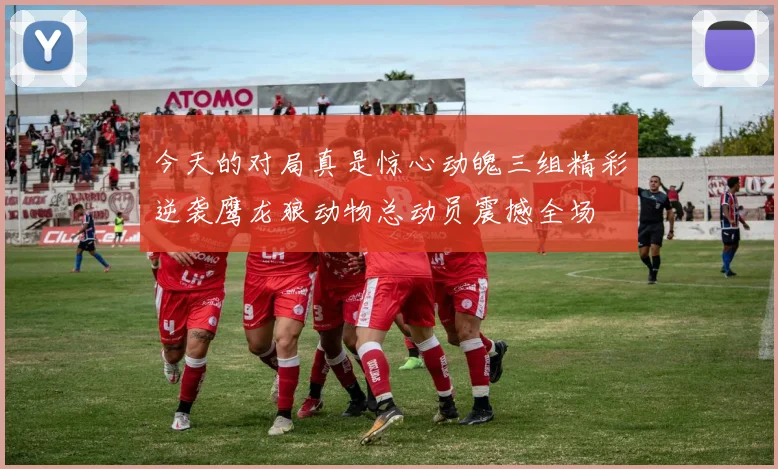 今天的对局真是惊心动魄三组精彩逆袭鹰龙狼动物总动员震撼全场