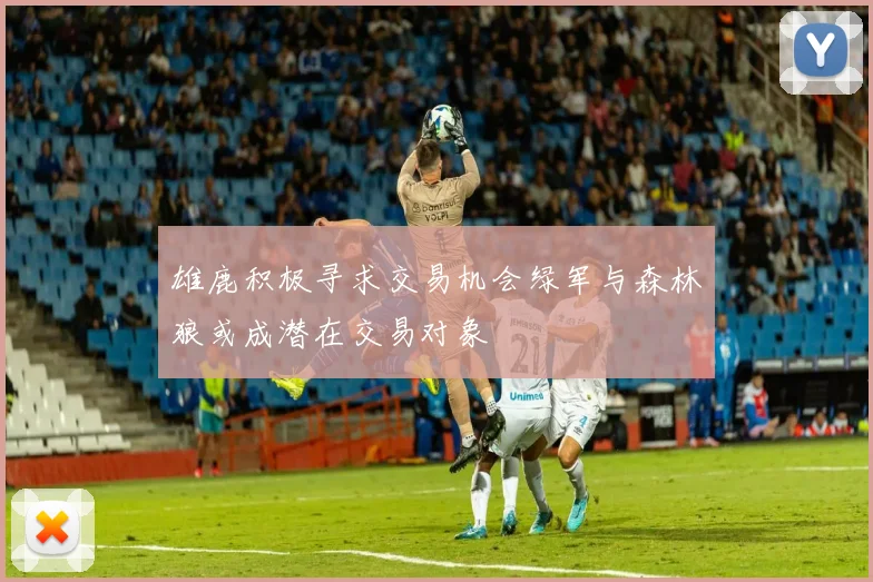 雄鹿积极寻求交易机会绿军与森林狼或成潜在交易对象