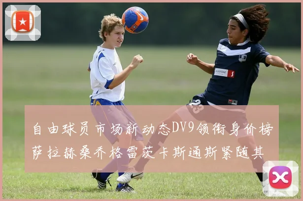 自由球员市场新动态DV9领衔身价榜萨拉赫桑乔格雷茨卡斯通斯紧随其后